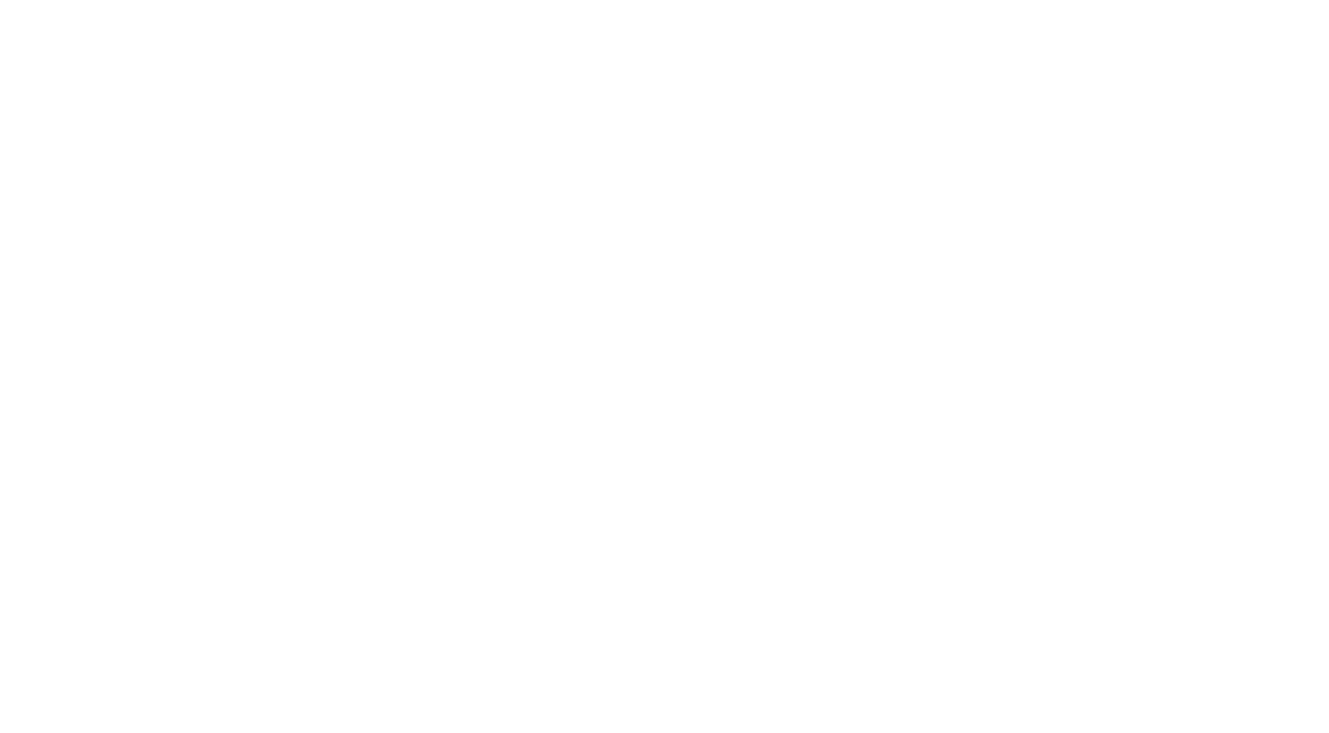 logo-stethos